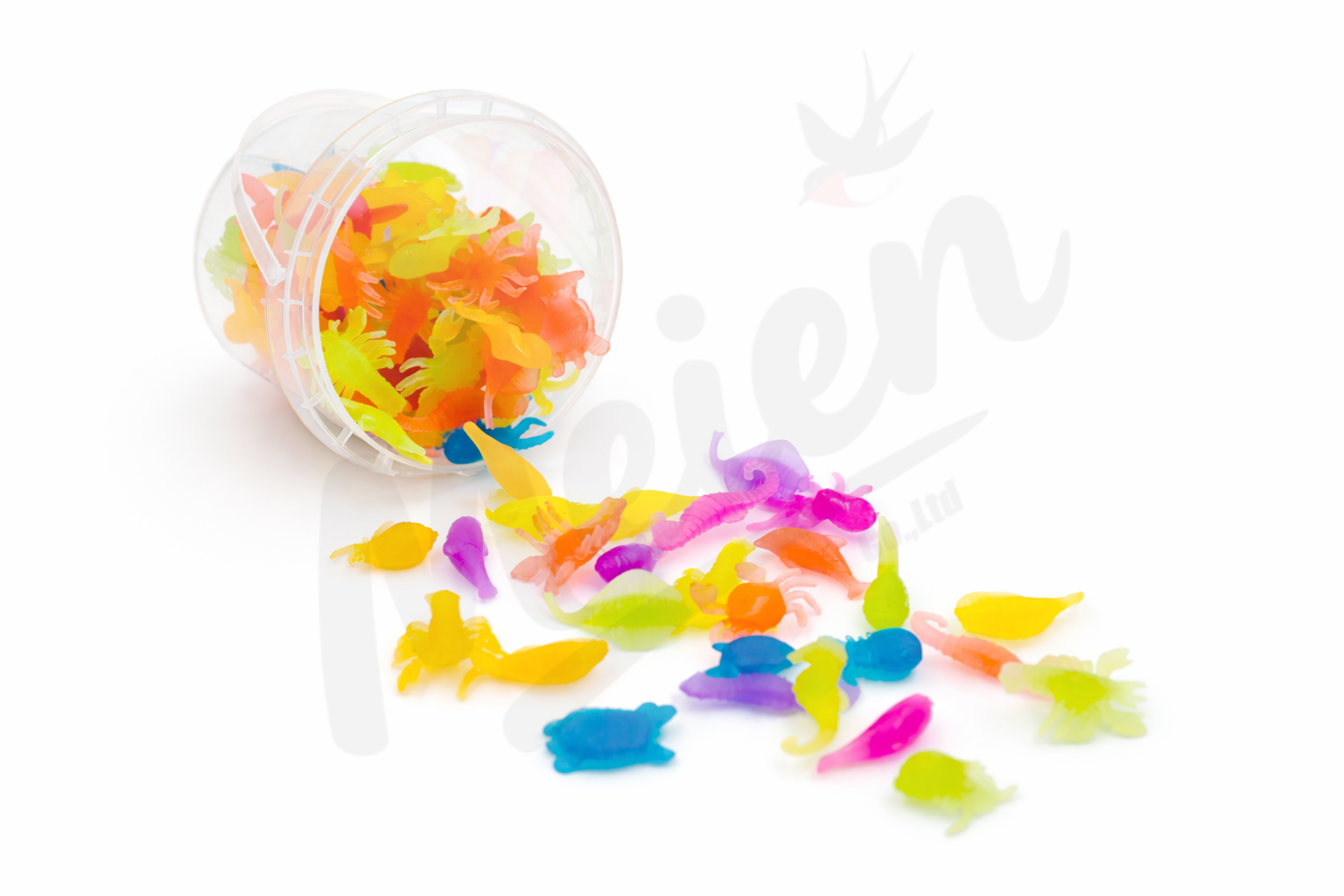 浮べて、海の生き物